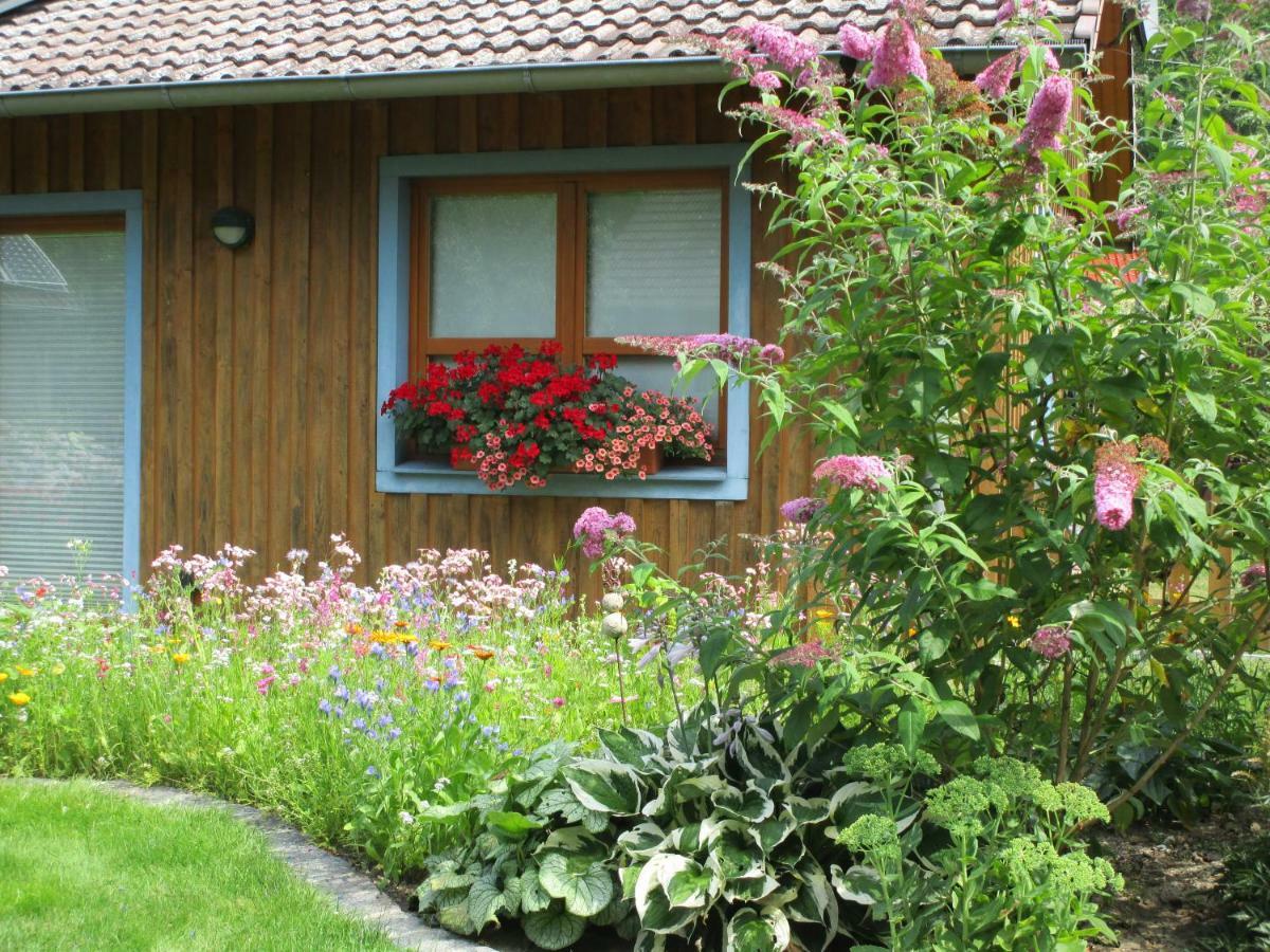 Studioferienhaus Herzogstadt-Celle Exterior foto